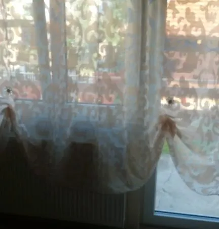 Djurdja Arandjelovac