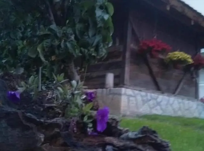 Djurdja Aranđelovac