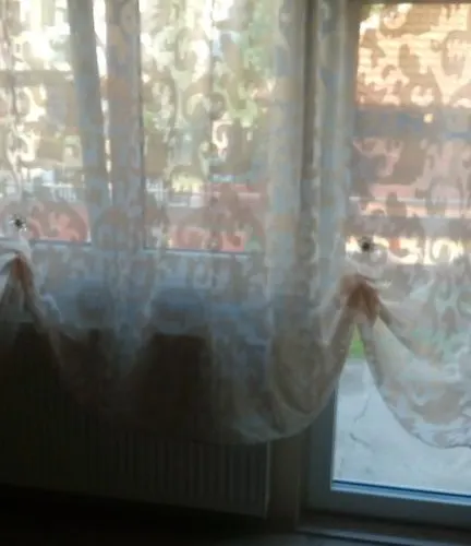 Djurdja Aranđelovac